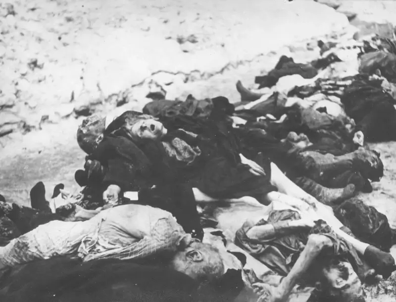 Arrow Cross terror in the Budapest ghetto