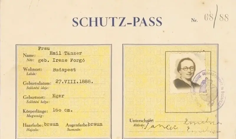 Rare Document Schutz-Pass Claimed